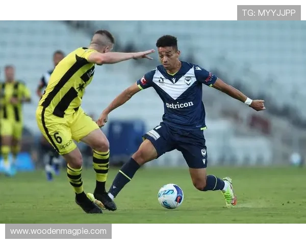 塔拉伊接手西悉尼流浪者队